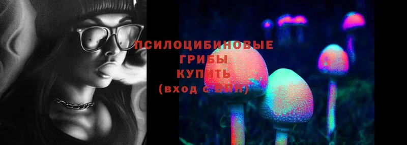 Псилоцибиновые грибы Magic Shrooms  МЕГА рабочий сайт  Галич 