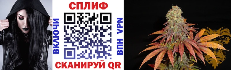 Марихуана Bruce Banner  цены   MEGA вход  Галич 